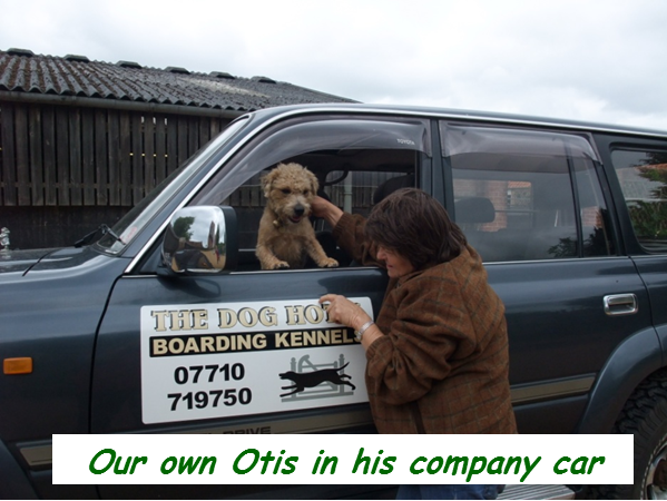 Our own Otis in his company car